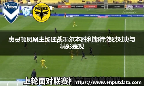 惠灵顿凤凰主场迎战墨尔本胜利期待激烈对决与精彩表现